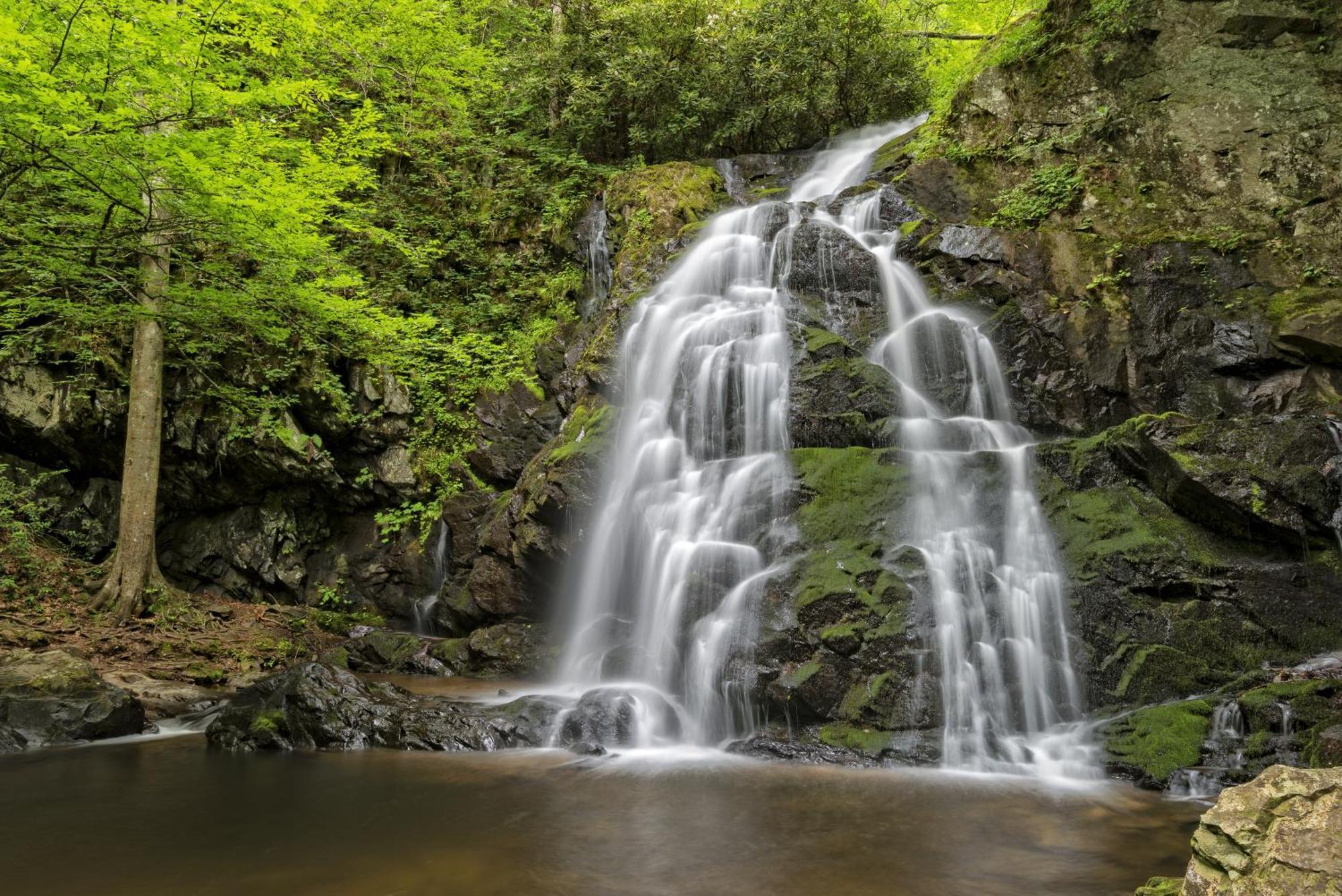 Tillies Stall - Queen Studio - Private 36-Acre Resort With 6 Homes Amazing Waterfall Cosby Exterior photo